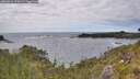 ./images/calvert/foggy-cove/20260616/foggy-cove20260616_154501M.jpg