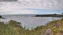 ./images/calvert/foggy-cove/20260616/foggy-cove20260616_163501M.jpg