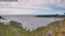./images/calvert/foggy-cove/20260616/foggy-cove20260616_164501M.jpg