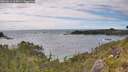 ./images/calvert/foggy-cove/20260616/foggy-cove20260616_165001M.jpg