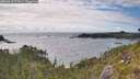 ./images/calvert/foggy-cove/20260616/foggy-cove20260616_172001M.jpg