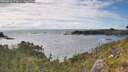 ./images/calvert/foggy-cove/20260616/foggy-cove20260616_173001M.jpg