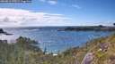 ./images/calvert/foggy-cove/20260616/foggy-cove20260616_175501M.jpg