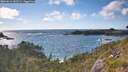 ./images/calvert/foggy-cove/20260616/foggy-cove20260616_183501M.jpg