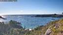 ./images/calvert/foggy-cove/20260616/foggy-cove20260616_185501M.jpg