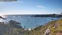 ./images/calvert/foggy-cove/20260616/foggy-cove20260616_190501M.jpg
