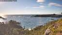 ./images/calvert/foggy-cove/20260616/foggy-cove20260616_191501M.jpg