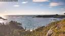 ./images/calvert/foggy-cove/20260616/foggy-cove20260616_192002M.jpg