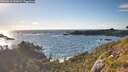 ./images/calvert/foggy-cove/20260616/foggy-cove20260616_193001M.jpg