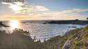 ./images/calvert/foggy-cove/20260616/foggy-cove20260616_204001M.jpg