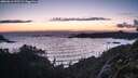 ./images/calvert/foggy-cove/20260616/foggy-cove20260616_222502M.jpg