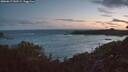 ./images/calvert/foggy-cove/20260617/foggy-cove20260617_043501M.jpg