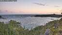 ./images/calvert/foggy-cove/20260617/foggy-cove20260617_050501M.jpg