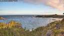 ./images/calvert/foggy-cove/20260617/foggy-cove20260617_060501M.jpg