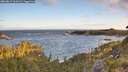 ./images/calvert/foggy-cove/20260617/foggy-cove20260617_061001M.jpg