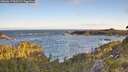 ./images/calvert/foggy-cove/20260617/foggy-cove20260617_061501M.jpg