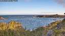 ./images/calvert/foggy-cove/20260617/foggy-cove20260617_062001M.jpg