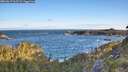 ./images/calvert/foggy-cove/20260617/foggy-cove20260617_062502M.jpg