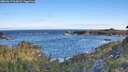 ./images/calvert/foggy-cove/20260617/foggy-cove20260617_063001M.jpg