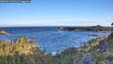 ./images/calvert/foggy-cove/20260617/foggy-cove20260617_063501M.jpg