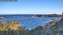 ./images/calvert/foggy-cove/20260617/foggy-cove20260617_064001M.jpg