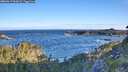 ./images/calvert/foggy-cove/20260617/foggy-cove20260617_064501M.jpg