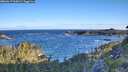 ./images/calvert/foggy-cove/20260617/foggy-cove20260617_065001M.jpg