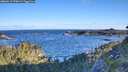 ./images/calvert/foggy-cove/20260617/foggy-cove20260617_070002M.jpg