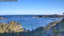 ./images/calvert/foggy-cove/20260617/foggy-cove20260617_070501M.jpg