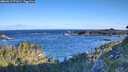 ./images/calvert/foggy-cove/20260617/foggy-cove20260617_071001M.jpg