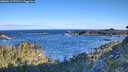 ./images/calvert/foggy-cove/20260617/foggy-cove20260617_071501M.jpg