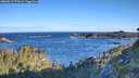 ./images/calvert/foggy-cove/20260617/foggy-cove20260617_072001M.jpg