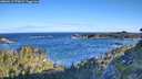 ./images/calvert/foggy-cove/20260617/foggy-cove20260617_073001M.jpg