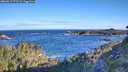 ./images/calvert/foggy-cove/20260617/foggy-cove20260617_073501M.jpg