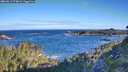 ./images/calvert/foggy-cove/20260617/foggy-cove20260617_074001M.jpg