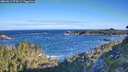 ./images/calvert/foggy-cove/20260617/foggy-cove20260617_074501M.jpg