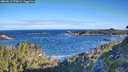 ./images/calvert/foggy-cove/20260617/foggy-cove20260617_075001M.jpg