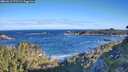 ./images/calvert/foggy-cove/20260617/foggy-cove20260617_075502M.jpg