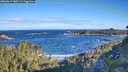 ./images/calvert/foggy-cove/20260617/foggy-cove20260617_080501M.jpg