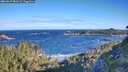 ./images/calvert/foggy-cove/20260617/foggy-cove20260617_081001M.jpg