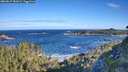 ./images/calvert/foggy-cove/20260617/foggy-cove20260617_082001M.jpg