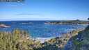 ./images/calvert/foggy-cove/20260617/foggy-cove20260617_082501M.jpg