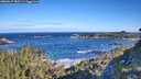./images/calvert/foggy-cove/20260617/foggy-cove20260617_083501M.jpg
