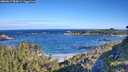 ./images/calvert/foggy-cove/20260617/foggy-cove20260617_084002M.jpg