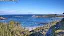 ./images/calvert/foggy-cove/20260617/foggy-cove20260617_085001M.jpg