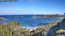./images/calvert/foggy-cove/20260617/foggy-cove20260617_090501M.jpg