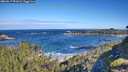 ./images/calvert/foggy-cove/20260617/foggy-cove20260617_091001M.jpg