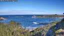 ./images/calvert/foggy-cove/20260617/foggy-cove20260617_091501M.jpg