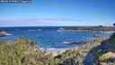 ./images/calvert/foggy-cove/20260617/foggy-cove20260617_092001M.jpg