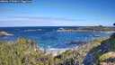 ./images/calvert/foggy-cove/20260617/foggy-cove20260617_093001M.jpg
